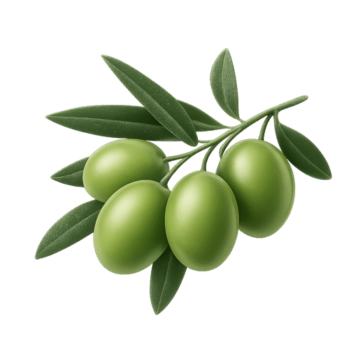 oleum calabria favicon
