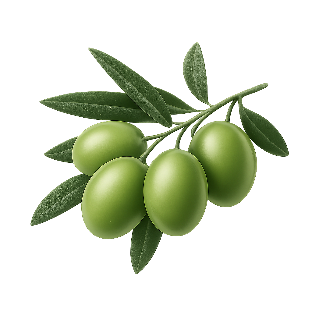 Oleum Calabria favicon