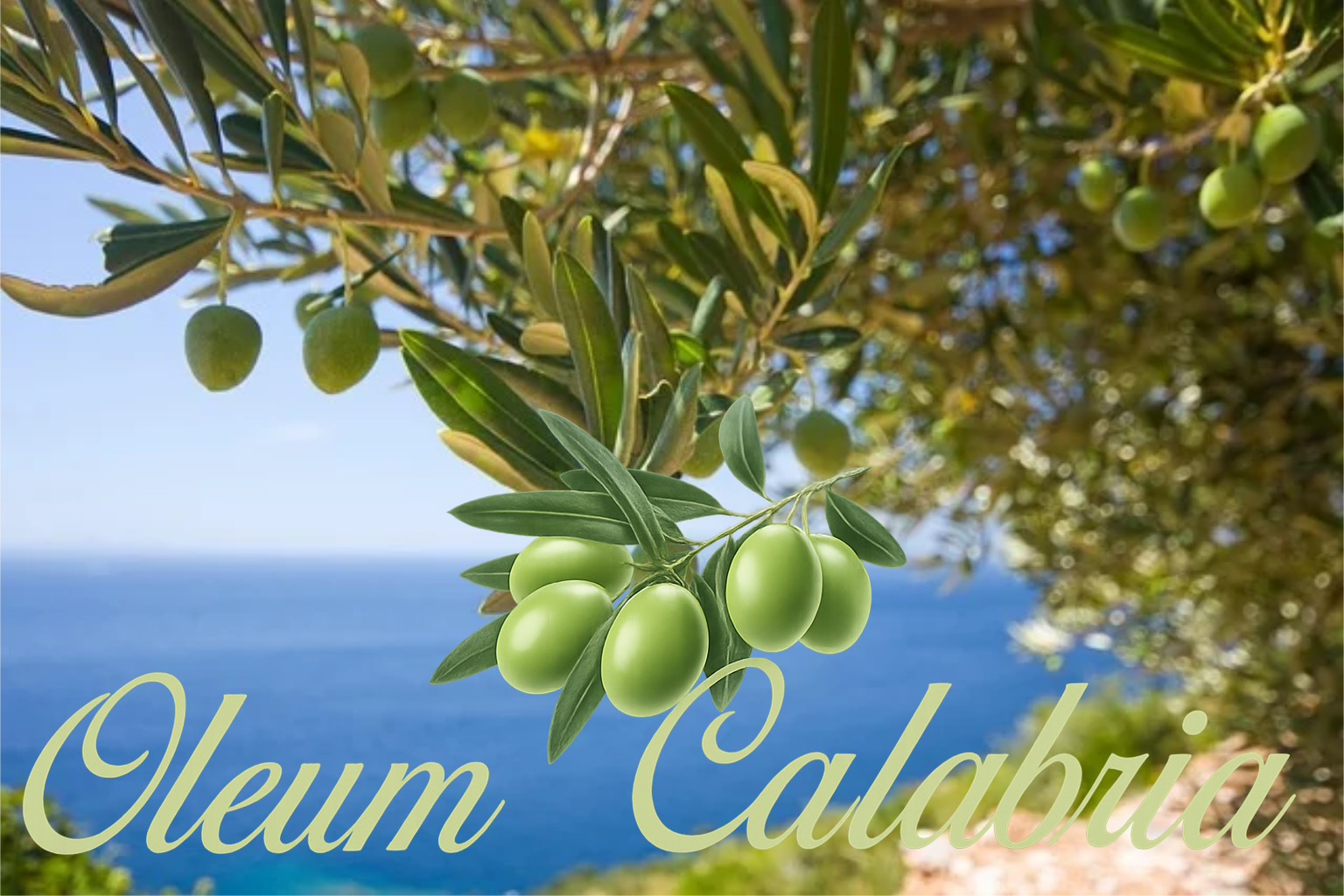 oleum home