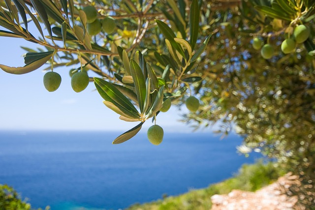 oleum calabria chi siamo